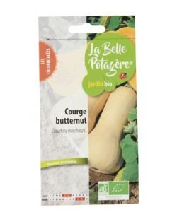 Courge Butternut BIO, 2,5 g